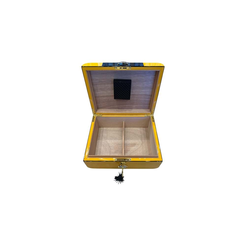 MYON PARİS RACİNG EDİTİON KARDON DİZAYN HUMİDOR SARI 40