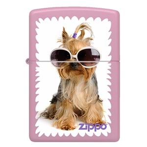 CI401743-238 PUPPY IN GLASES